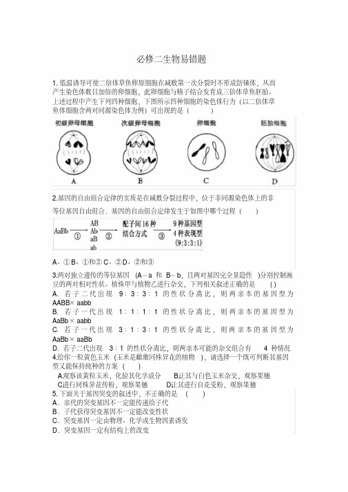 人教版高中生物必修二生物易错题