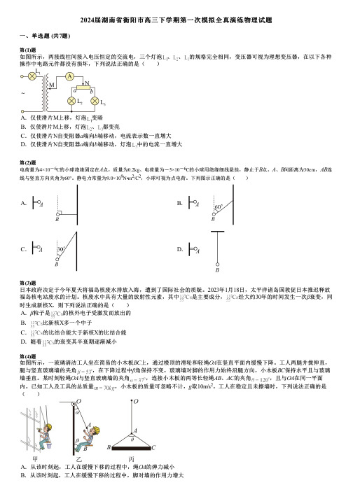 2024届湖南省衡阳市高三下学期第一次模拟全真演练物理试题