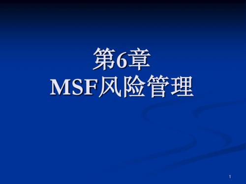 lja第6章MSF风险管理