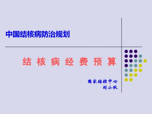 中国结核病防治规划结控预算制定和应用 共55页