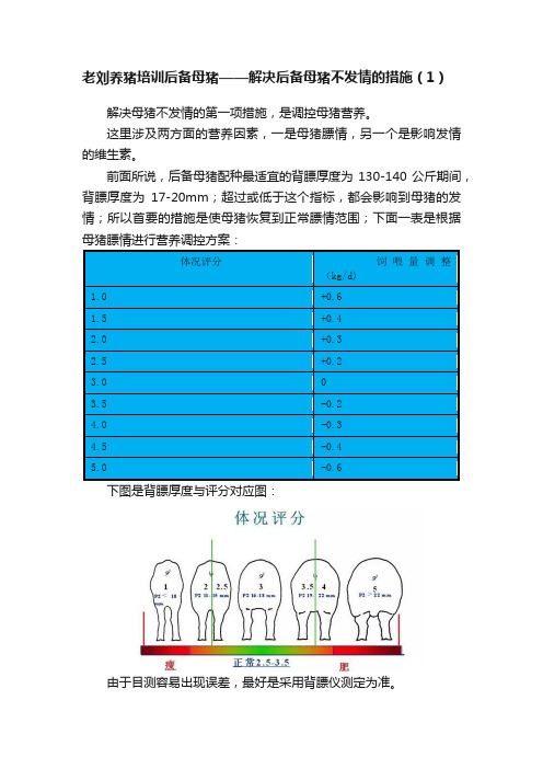 老刘养猪培训后备母猪——解决后备母猪不发情的措施（1）