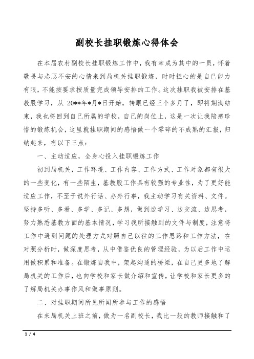 副校长挂职锻炼心得体会