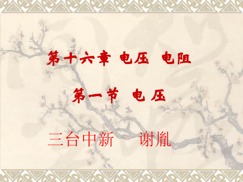 初中人教版物理九年级全册 16.1 电压 课件 (共17张PPT)