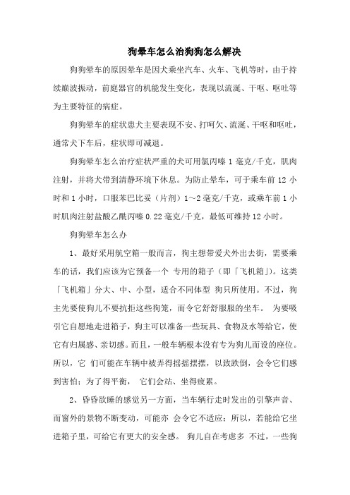 狗晕车怎么治狗狗怎么解决