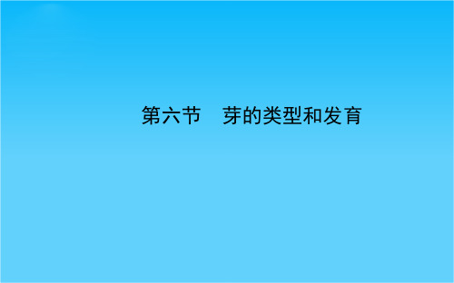 【金榜学案】八年级生物上册 第四单元 第一章 第六节 芽的类型和发育课件 济南版