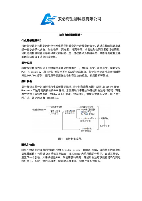 如何自制核酸探针