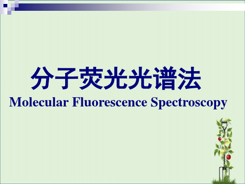 分子荧光光谱法剖析