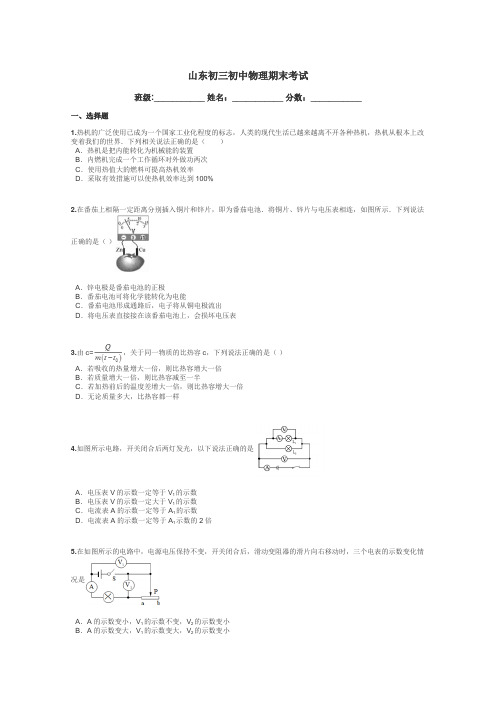 山东初三初中物理期末考试带答案解析
