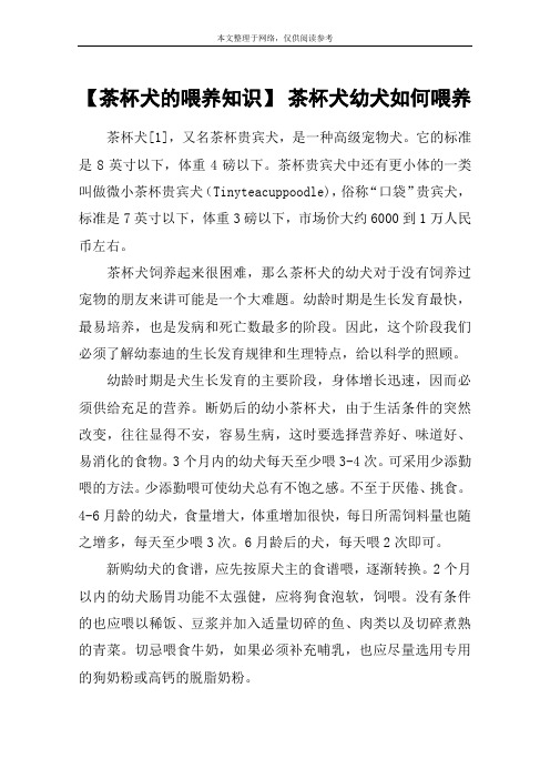 【茶杯犬的喂养知识】 茶杯犬幼犬如何喂养