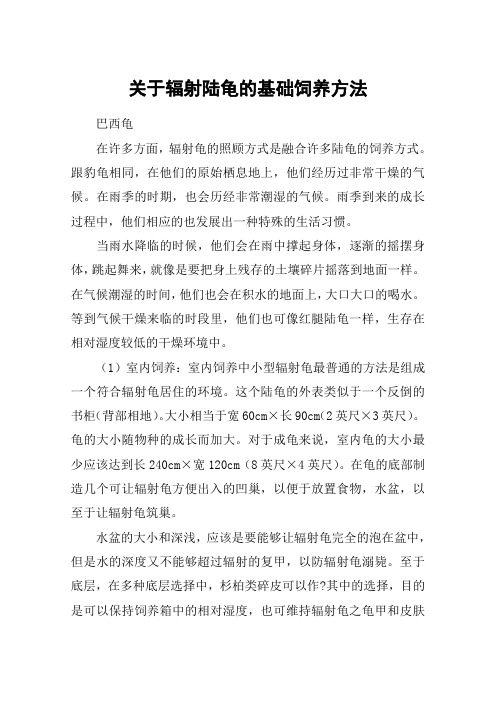 关于辐射陆龟的基础饲养方法