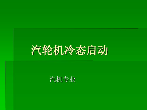 汽轮机冷态启动(1)