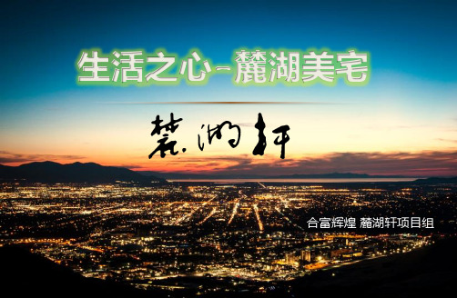 麓湖轩+营销定位报告