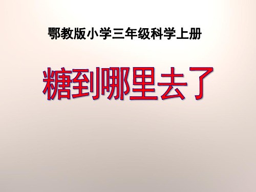 鄂教版三年级科学上册 (糖到哪里去了)饮用水新课件教学