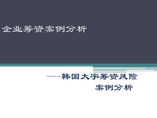 韩国大宇案例分析报告