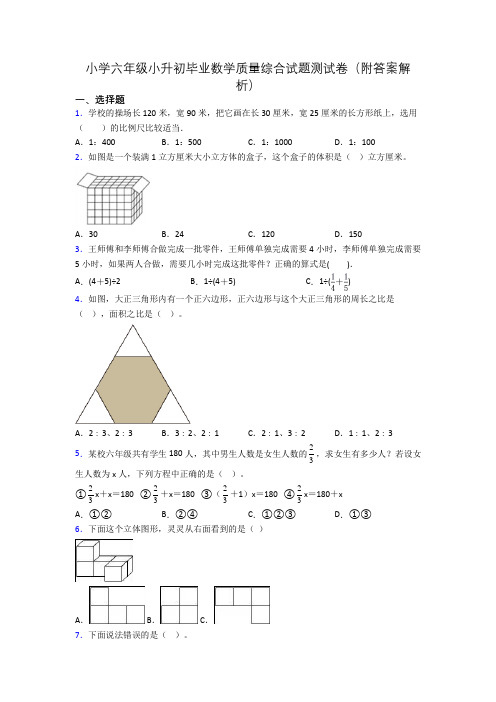 小学六年级小升初毕业数学质量综合试题测试卷(附答案解析)