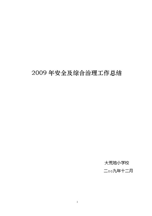 2009年安全及综合治理工作总结