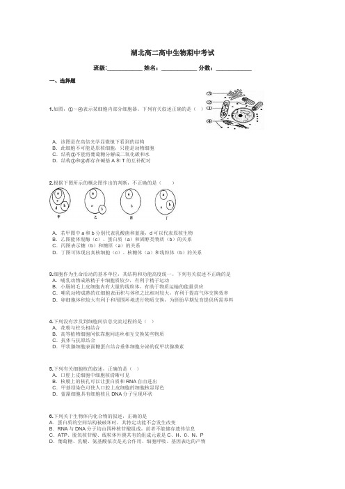 湖北高二高中生物期中考试带答案解析