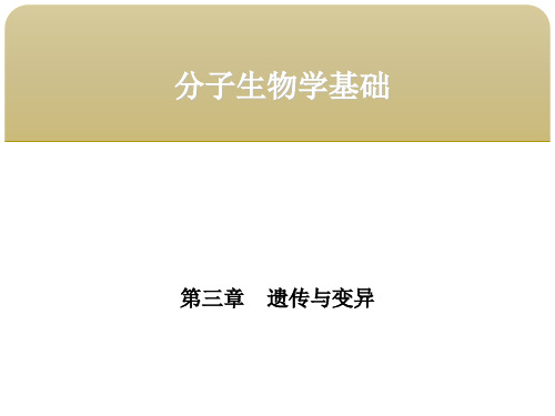 分子生物学基础第三章遗传与变异 第三节基因、基因组与基因突变