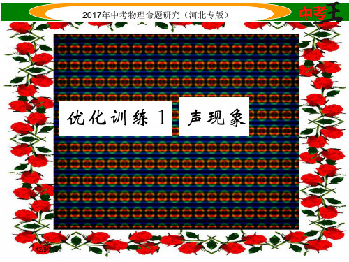 中考物理总复习 第一编 教材知识梳理 第一讲 声现象 优化训练1 声现象课件