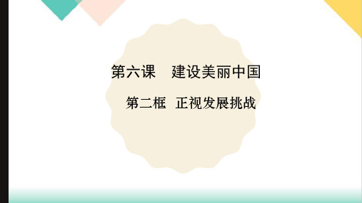 正视发展挑战PPT部编版课件道德与法治九年级上册