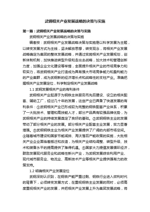 武钢相关产业发展战略的决策与实施