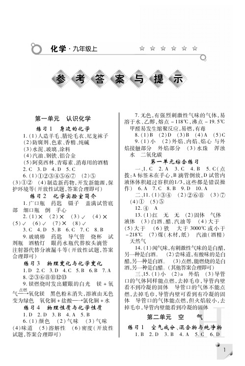 九年级化学上册练习册答案