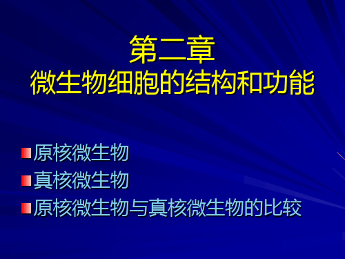 微生物生理学课件