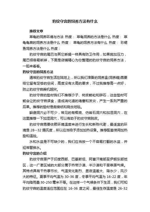 豹纹守宫的饲养方法有什么