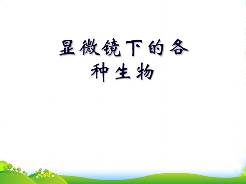 七年级科学上册《显微镜下的各种生物》课件8 浙教