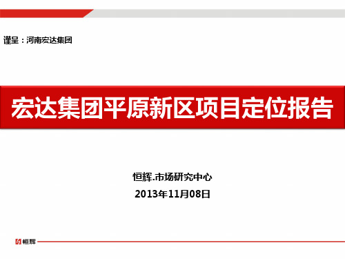 宏达集团平原新区项目定位报告11.07