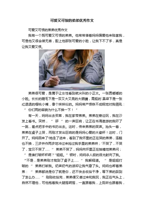 可爱又可恨的弟弟优秀作文