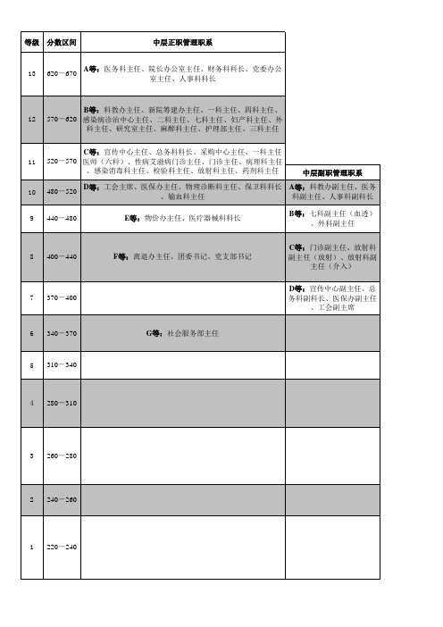 医院岗位分级表范例(综合三甲医院)