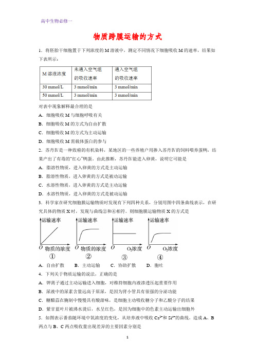 高中生物必修1课时作业16：4.3 物质跨膜运输的方式