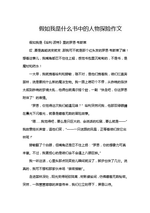 假如我是什么书中的人物探险作文