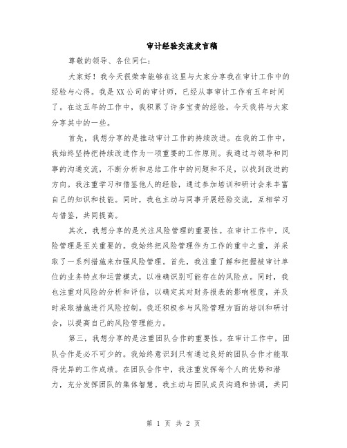 审计经验交流发言稿