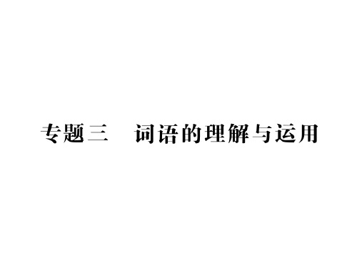 2020年重庆中考语文专项复习课件--专题三 词语的理解和运用(共21张PPT)