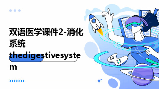 双语医学课件2-消化系统TheDigestiveSystem