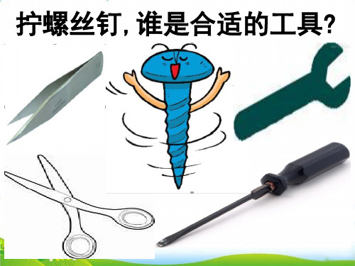 【苏教版】新《拧螺丝钉的学问》PPT-上课课件1