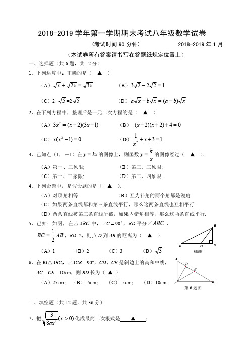 2018-2019上海版八年级数学上册期末试卷