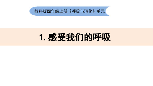 教科版科学感受我们的呼吸PPT课件