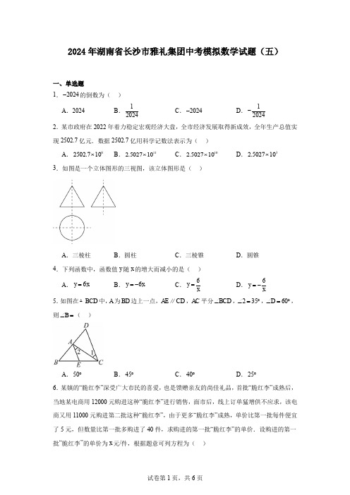 2024年湖南省长沙市雅礼集团中考模拟数学试题(五)