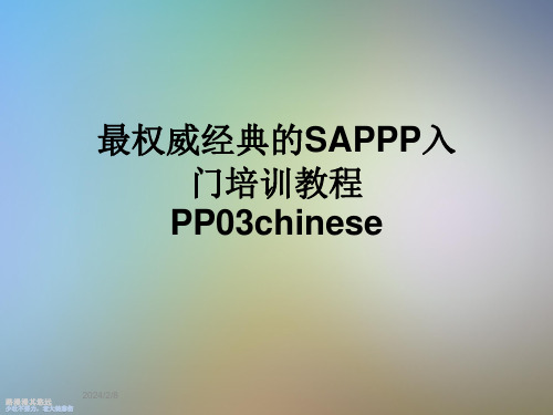 最权威经典的SAPPP入门培训教程PP03chinese