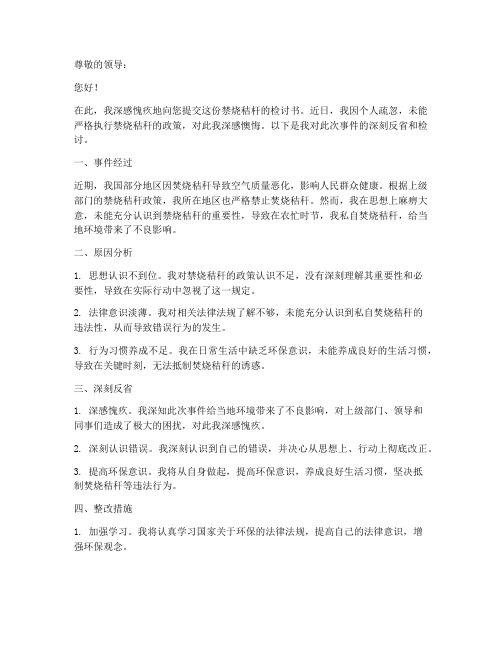 禁烧秸杆检讨书范文