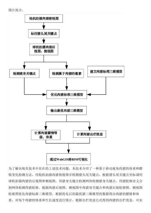 基于移动视角的猪的体重和膘情变化检测方法与相关技术