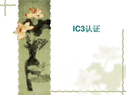 IC3介绍