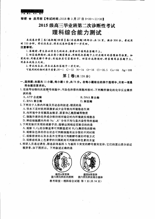 四川省广安、眉山、内江、遂宁2018届高三第二次诊断性考试理科综合试卷(PDF版)