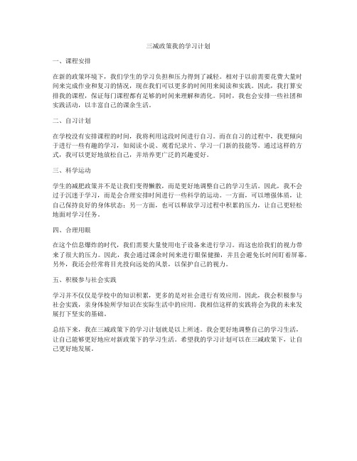 三减政策我的学习计划