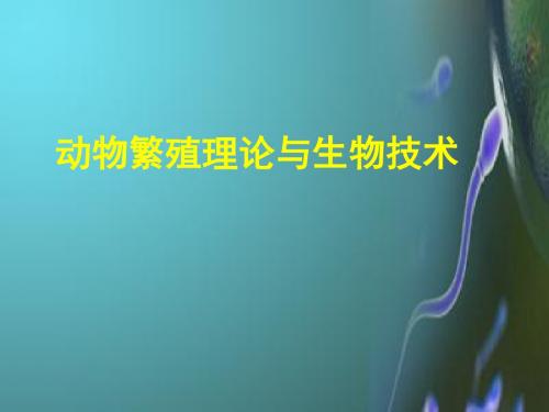 动物生殖免疫学