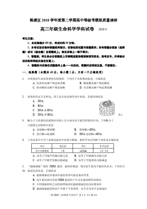 2019年上海杨浦区生命科学二模试卷及答案