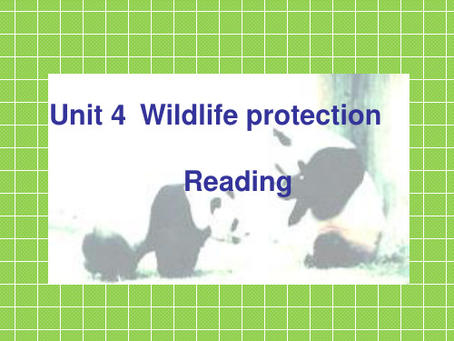 人教版高中英语必修二《Unit 4 Wildlife Protection》Reading 课件